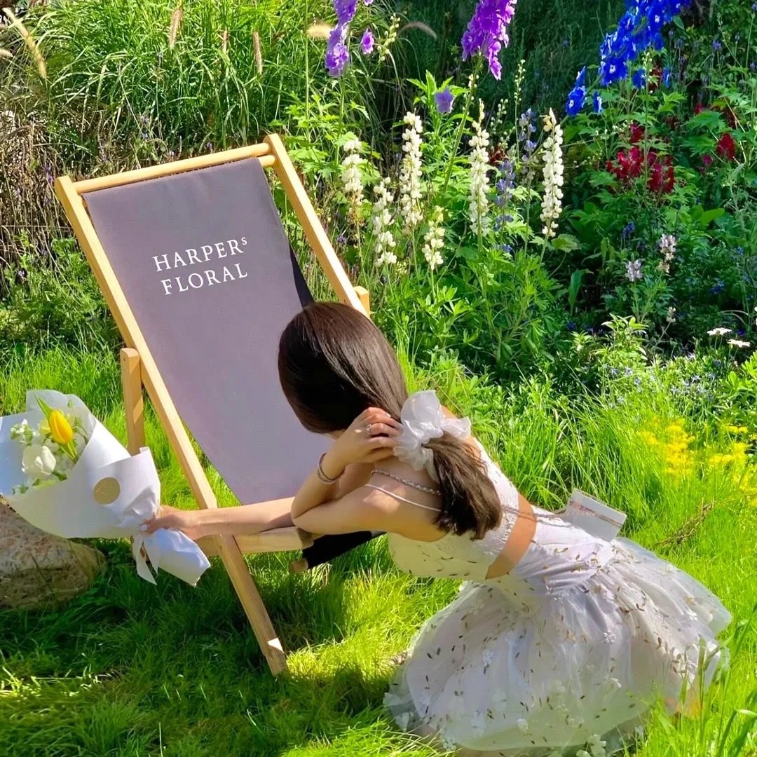 杨光的快乐生活1